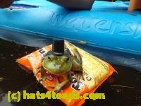 /home//u458753944/public_html/sourcegallery///////////////Frogs/Bullfrogs 2016-08 Ontario/P8140141.JPG